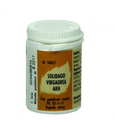 AKH Solidago virgaurea Tabl. 60