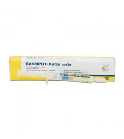BANMINTH KATZE paste 2 g (cats) a.u.v.