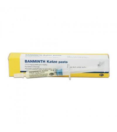 BANMINTH KATZE paste 3g (cats) a.u.v.