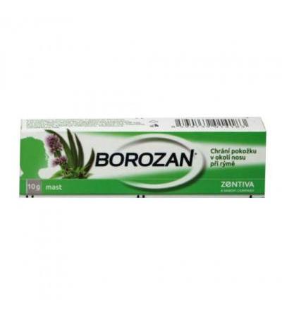 BOROZAN ointment 10g