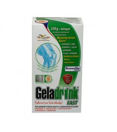 GELADRINK FAST cps 360