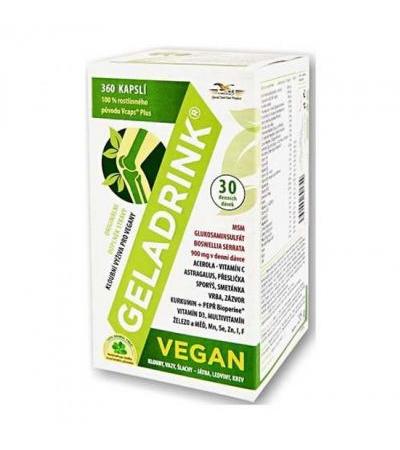 GELADRINK VEGAN cps 360