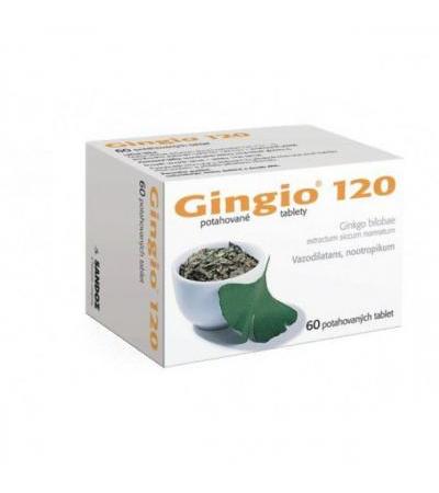 GINGIO tbl 60x 120mg