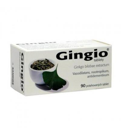 GINGIO tbl 90x 40mg