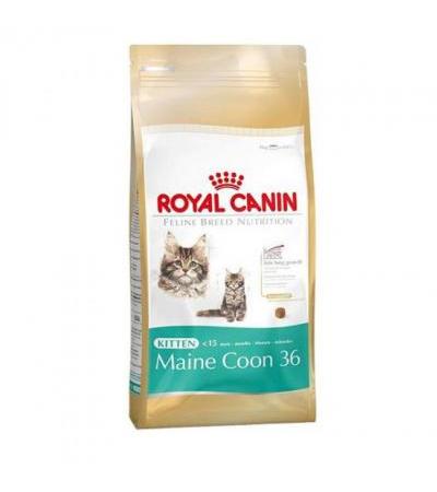 Royal Canin KITTEN MAINE COON ( 50070579 90,00 €Total including VAT We regret, but the goods you are looking for are not available at the moment. For more detailed information you can contact us at info@docsimon.cz EAN: 3.18255077097e+1Manufacturer: Royal