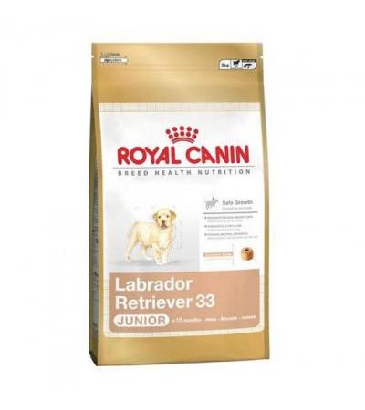 Royal Canin LABRADOR RETRIEVER JUNIOR ( 50070587 67,10 €Total including VAT To shopping cart EAN: 3182550725514Manufacturer: Royal Canin, Manufactured in EU, www.royalcanin.co.uk Complete ROYAL CANIN for dogsFood for selected dog breedsGranulated foodstuf