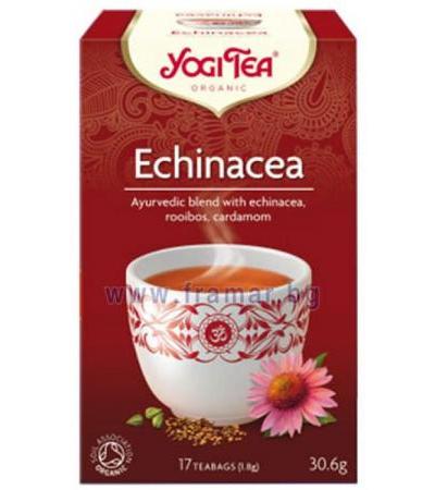 БИО ЧАЙ ЙОГИ ФИЛТЪР С ЕХИНАЦЕЯ * 17