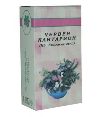 ЧЕРВЕН КАНТАРИОН СТРЪК