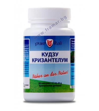 ПЮРВИТАЛ КУДЗУ КРИЗАНТЕЛУМ капсули * 60