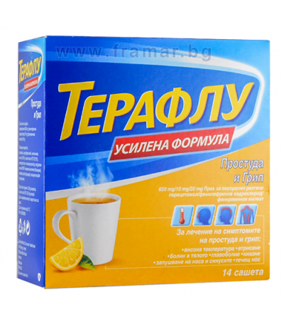 ТЕРАФЛУ ЕКСТРА саше * 14
