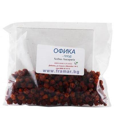 ОФИКА ПЛОД