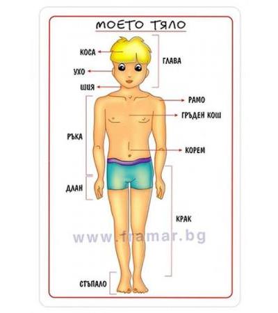 ТАБЛО: МОЕТО ТЯЛО - СКОРПИО