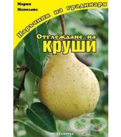 ОТГЛЕЖДАНЕ НА КРУШИ - МАРИЯ МАНОЛОВА