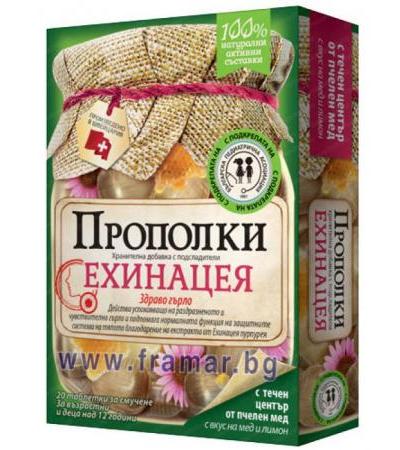 ПРОПОЛКИ пастили * 20 с ехинацея