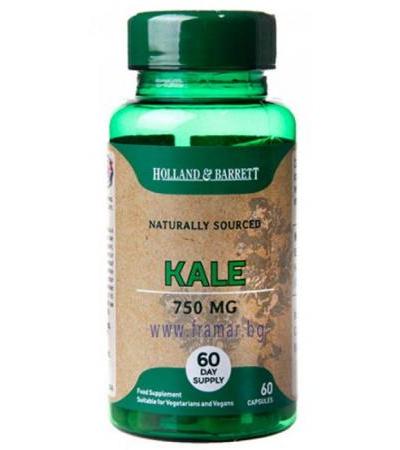 КЕЙЛ - КЪДРАВО ЗЕЛЕ капсули 750 мг * 60 HOLLAND & BARRETT