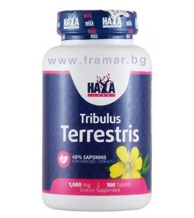 ХАЯ ЛАБС ТРИБУЛУС ТЕРЕСТРИС табл. 1000 мг. * 100