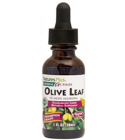 НЕЙЧЪРС ПЛЮС HERBAL ACTIVES МАСЛИНОВ ЛИСТ 30 мл