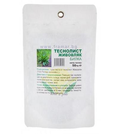 ЖИВОВЛЕК ТЕСНОЛИСТ ЛИСТА