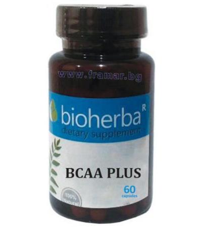 БИОХЕРБА BCAA ПЛЮС капсули * 60