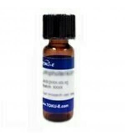Beauveriolide I 0.25mg